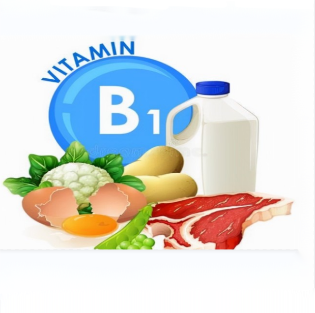 Физиологическая функция витамина B1