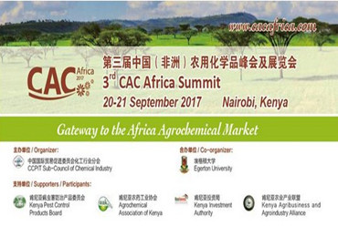 третий саммит стран Африки